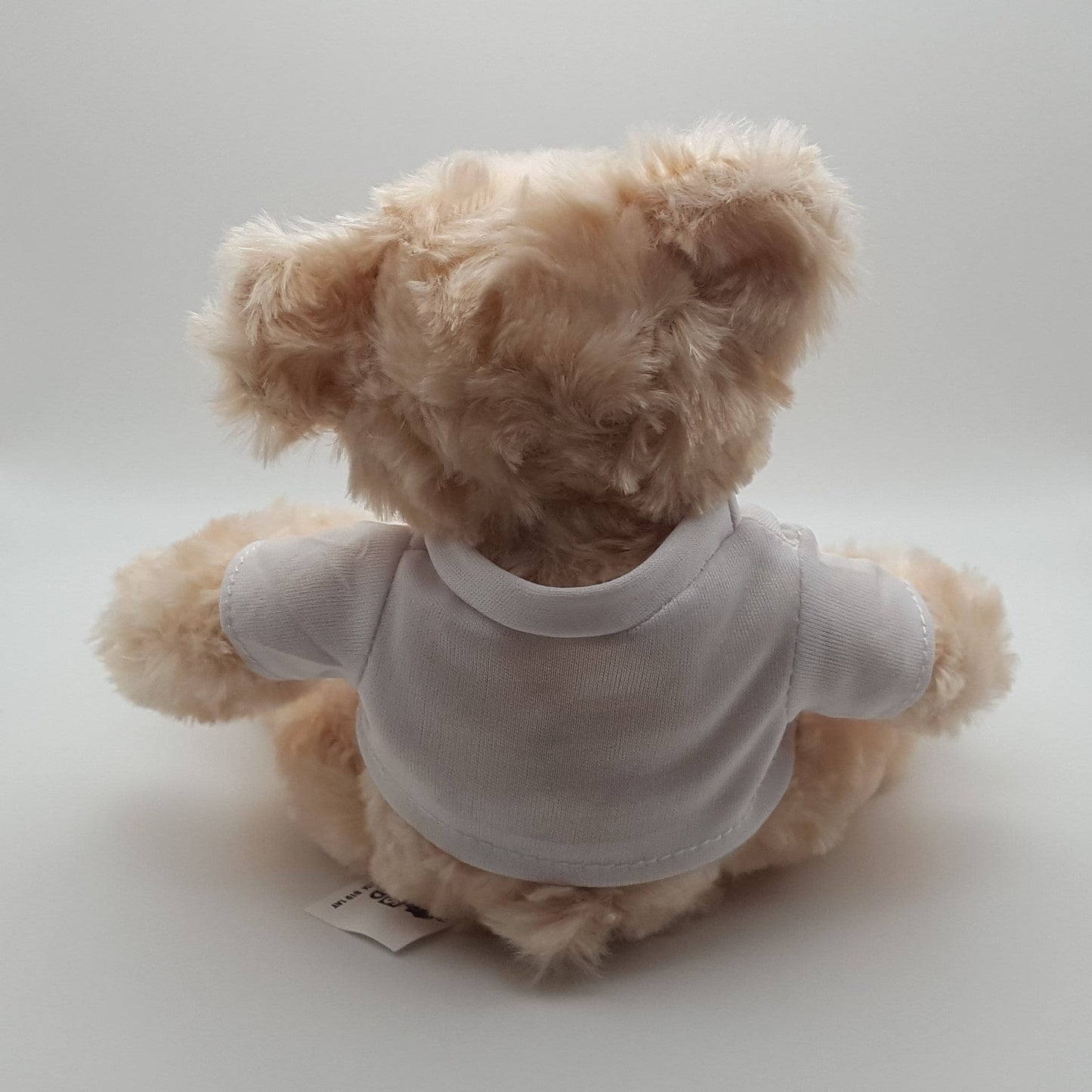 GEORGE Teddy Bear With Personalised Customisable T-Shirt - Add Any Photo/Design/Text